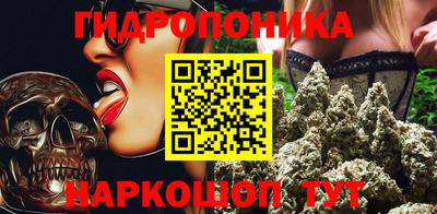 гидропоника Пугачёв
