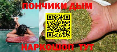 гидропоника Пугачёв