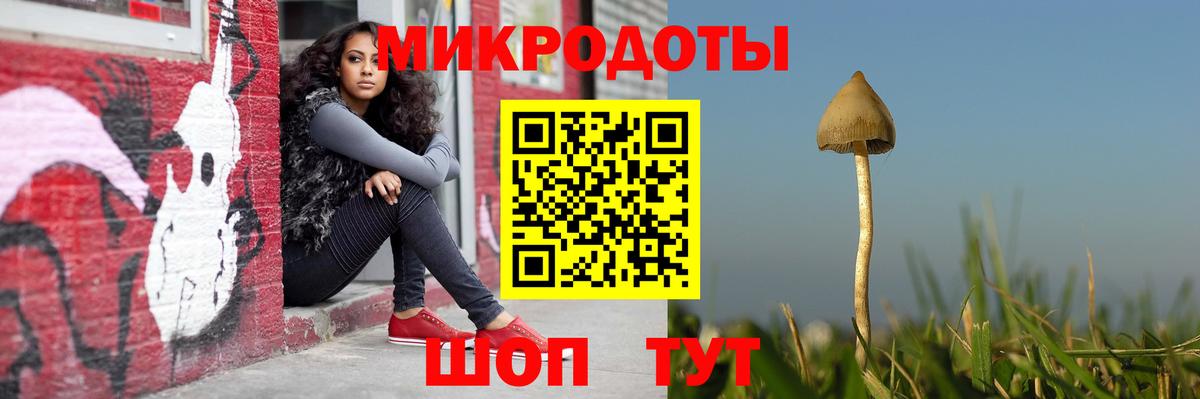 Реж  Галлюциногенные грибы прущие грибы  Вход с VPN 